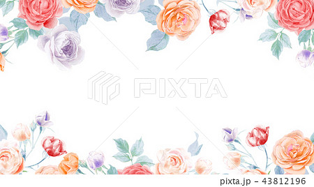 牡丹 ぼたん しゃくやく 43812196