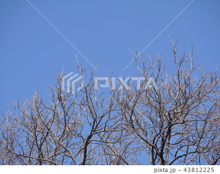 冬景色 冬景色 43812225