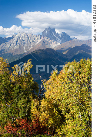 Autumn in mountains Svaneti and Ushba top, Georgia Autumn in mountains Svaneti and Ushba top, Georgia 43812383