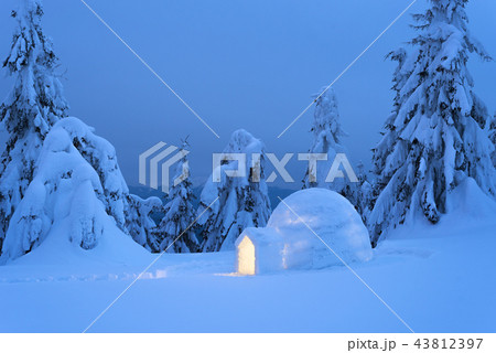 Snow igloo in the winter mountain forest Snow igloo in the winter mountain forest 43812397