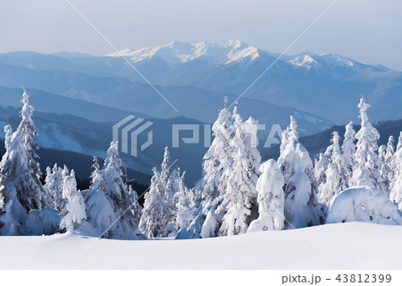 Winter landscape in the mountains under the snow Winter landscape in the mountains under the snow 43812399