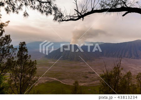 Mountain Bromo volcano - island Java Indonesia 43813234