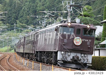 EF64 37 ELレトロ碓氷(2018/9/9) EF64 37 ELレトロ碓氷(2018/9/9) 43813429