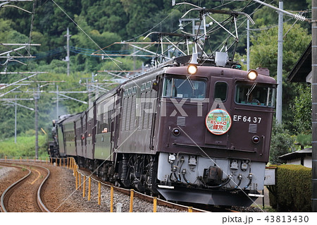 EF64 37 ELレトロ碓氷(2018/9/9) EF64 37 ELレトロ碓氷(2018/9/9) 43813430