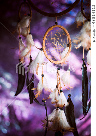 Dreamcatcher against a background of purple 43814113