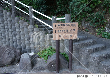 椿の小径、桂浜側の入り口 43814253