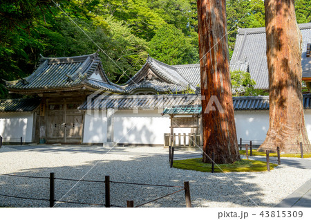 瑞巌寺　御成門　宮城県 43815309