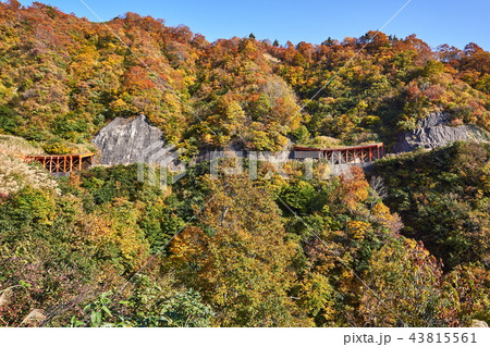 新潟県 紅葉の樹海ライン 国道352号の写真素材