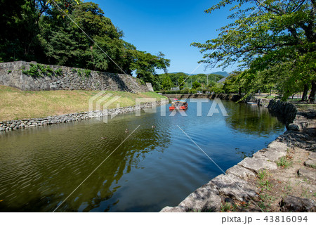 滋賀県　夏の彦根城　お堀めぐり　屋形船 43816094