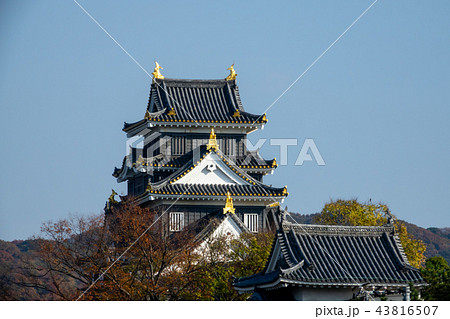 岡山城(烏城)~秋~ 岡山城(烏城)~秋~ 43816507