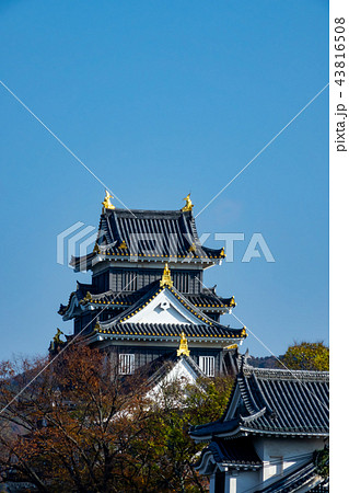 岡山城(烏城)~秋~ 岡山城(烏城)~秋~ 43816508