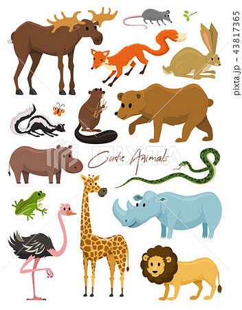 Cute animals for baby. Wild giraffe moose camel and deer, rhinoceros. hare, wolf and bear with lion Cute animals for baby. Wild giraffe moose camel and deer, rhinoceros. hare, wolf and bear with lion 43817365
