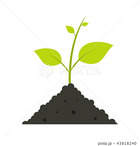 Green sprout in the ground Green sprout in the ground 43818240