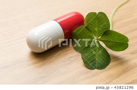 よつば　クローバー 43821296