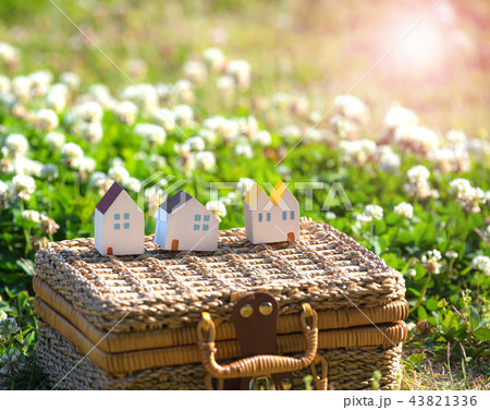 春　スナップ 43821336