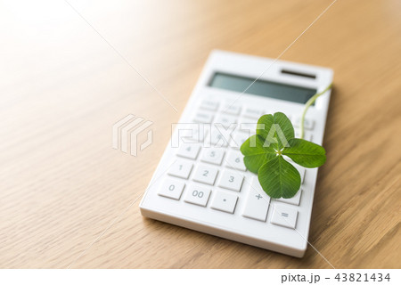 よつば クローバー よつば クローバー 43821434