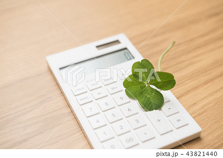 よつば　クローバー 43821440