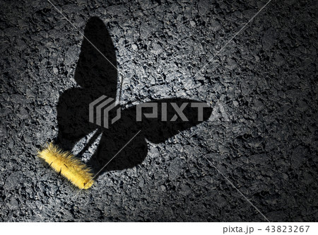 Aspirations Concept 43823267