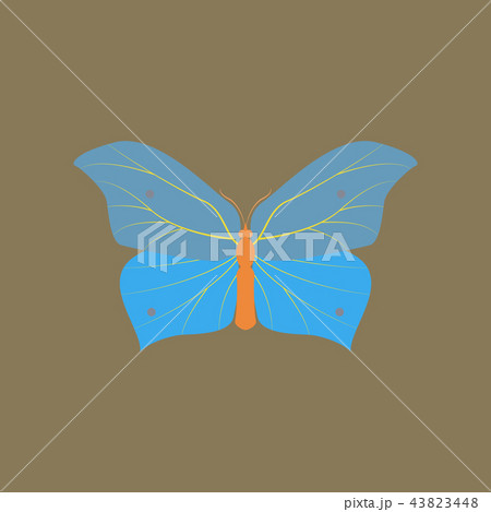 Colorful icon of butterfly isolated on brown 43823448