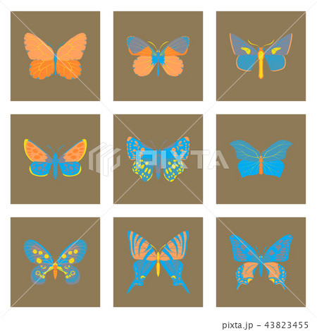 Flat icons big collection of colorful butterflies Flat icons big collection of colorful butterflies 43823455