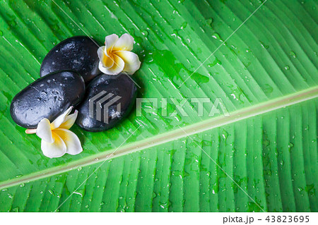 Spa treatments, burning candles in spa wellness, 43823695