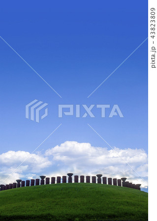 亀塚古墳公園　 43823809