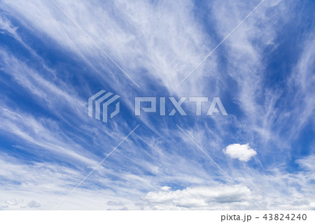 秋空_ダイナミックな巻雲 43824240