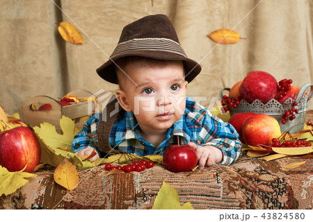 autumn concept - child boy lie on yellow leaves autumn concept - child boy lie on yellow leaves 43824580