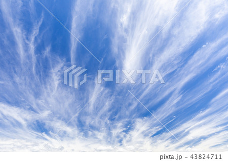秋空_ダイナミックな巻雲 43824711