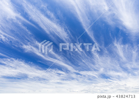 秋空_ダイナミックな巻雲 秋空_ダイナミックな巻雲 43824713