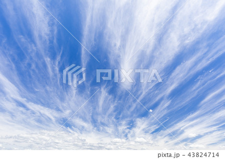 秋空_ダイナミックな巻雲 43824714