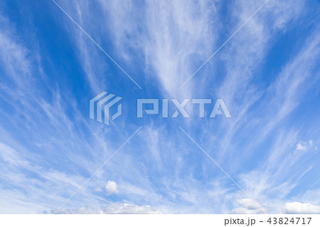 秋空_ダイナミックな巻雲 秋空_ダイナミックな巻雲 43824717