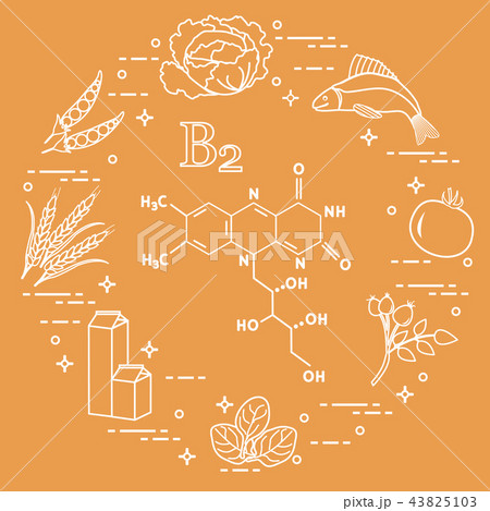 Foods rich in vitamin B2 Fish, peas and other. Foods rich in vitamin B2 Fish, peas and other. 43825103