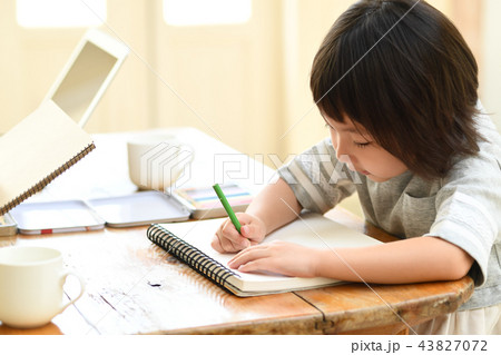 お絵かきする女の子 43827072