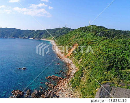 野間岬の海岸線 43828156