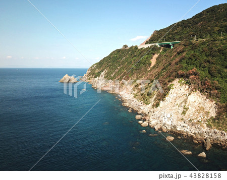野間半島の高崎鼻の海岸 野間半島の高崎鼻の海岸 43828158