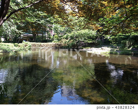 清水谷公園 43828324