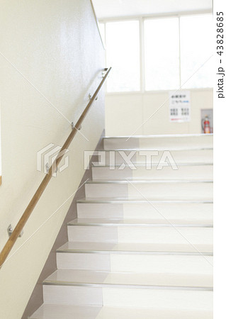 学校イメージ(階段) 学校イメージ(階段) 43828685