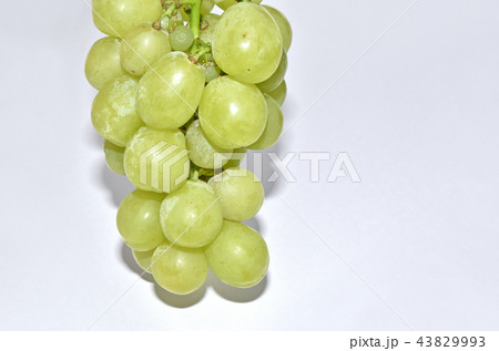 ぶどう（ロザリオ・ビアンコ） 43829993