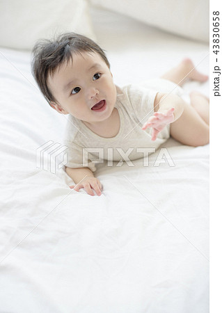 赤ちゃん 可愛 幸せ 43830658