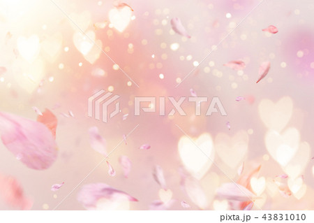 Flowers composition for Valentine's, Mother's or Women's Day. Pink flowers on old white wooden background. 43831010