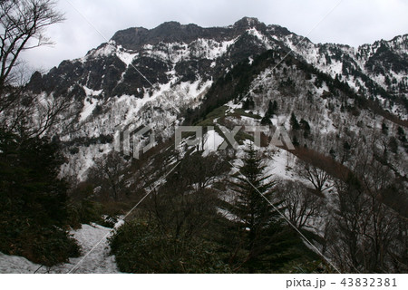 四国石鎚山　残雪の石鎚山　春山 43832381