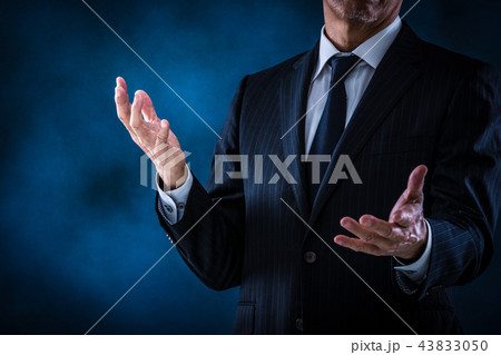 プレゼンするシニアビジネスマン プレゼンするシニアビジネスマン 43833050