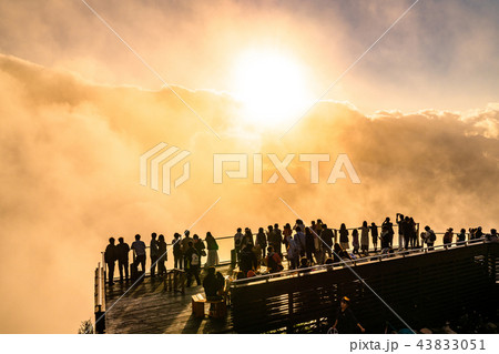 《長野県》竜王マウンテンパーク・夕景の雲海 43833051