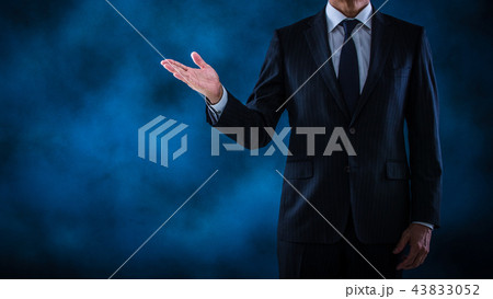 プレゼンするシニアビジネスマン プレゼンするシニアビジネスマン 43833052