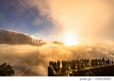 《長野県》竜王マウンテンパーク・夕景の雲海 《長野県》竜王マウンテンパーク・夕景の雲海 43833065