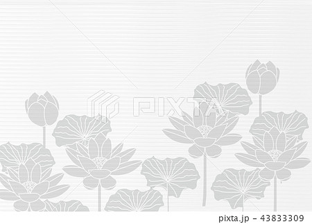 蓮 喪中 はがき 背景 のイラスト素材
