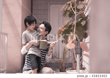 家族 43833402