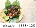 松茸 43834125