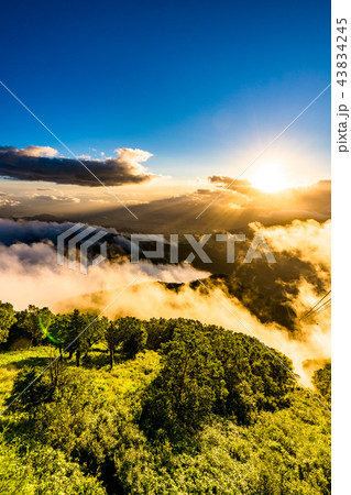 《長野県》竜王マウンテンパーク・夕景の雲海 43834245